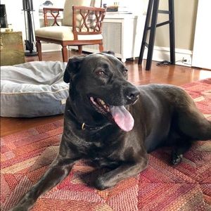 Meet your Posher, Grace